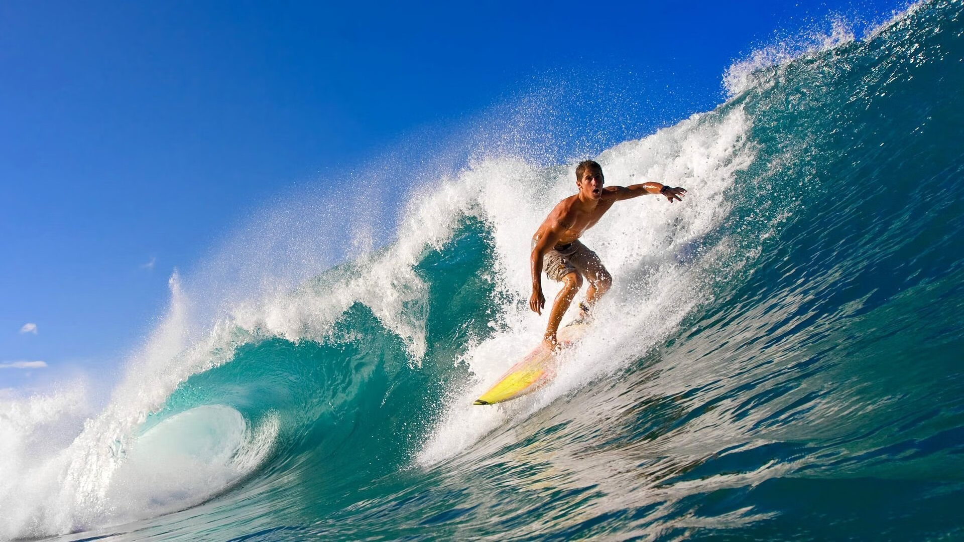 拼搏精神引领中国篮球前行，拼搏精神的概念