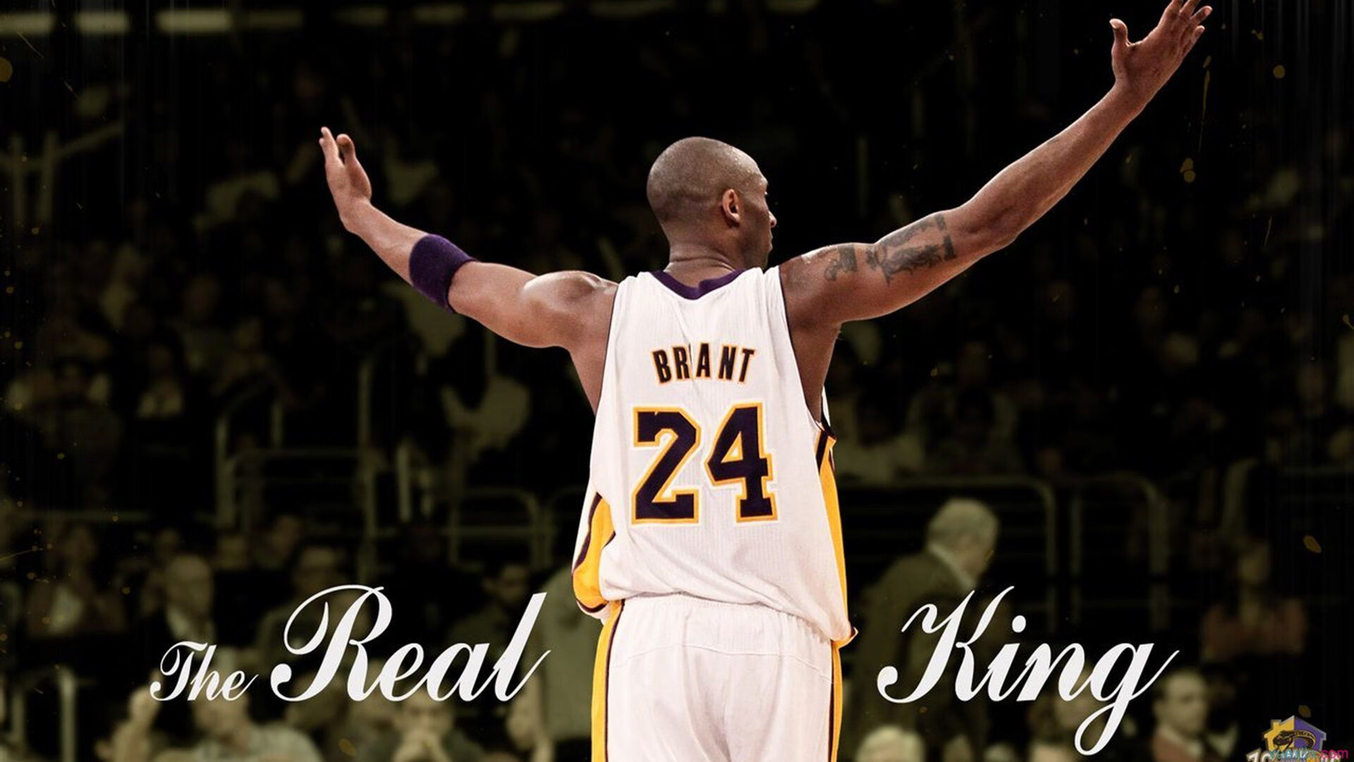 拼搏铸就中国篮球不灭传奇